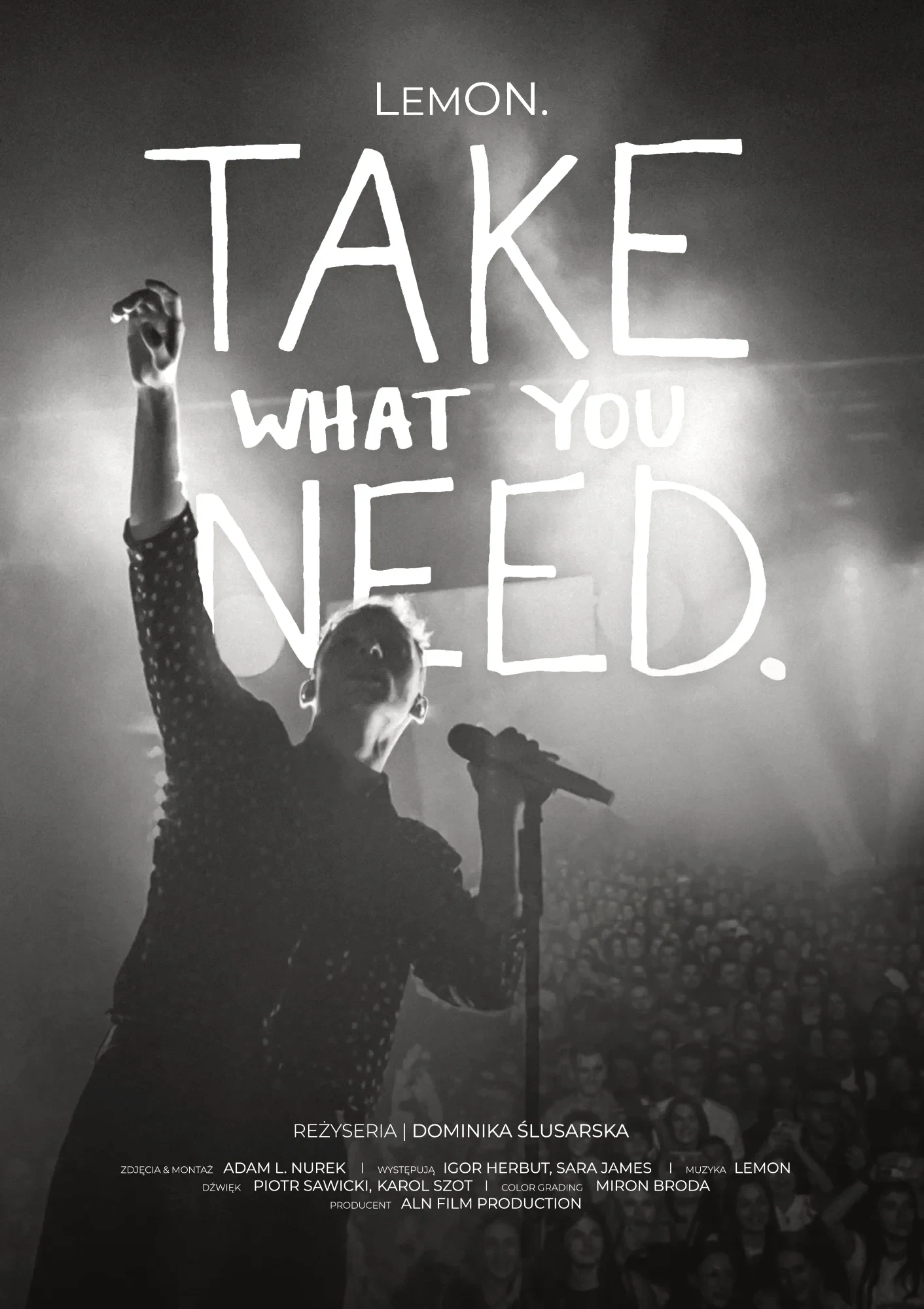 The LemON. — Take What You Need film poster: the singer reaching up under stage light, mic raised over the crowd.